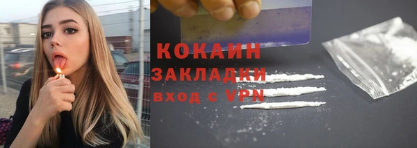 прущие грибы Арсеньев