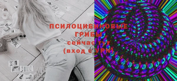 PSILOCYBIN Армянск