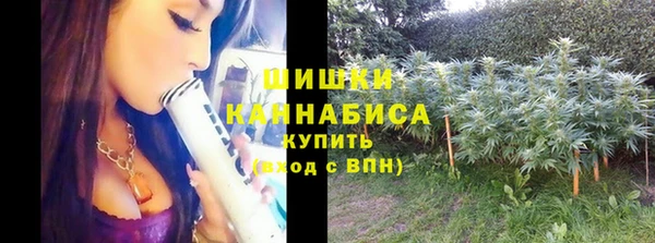 прущие грибы Арсеньев