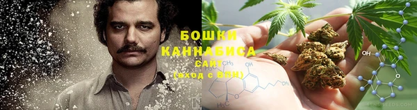 прущие грибы Арсеньев